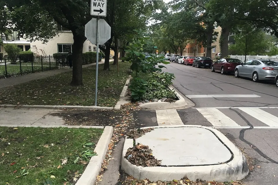 Zebra crosswalk with raised curb extensions and bioswale on small street with parked cars and mature trees.